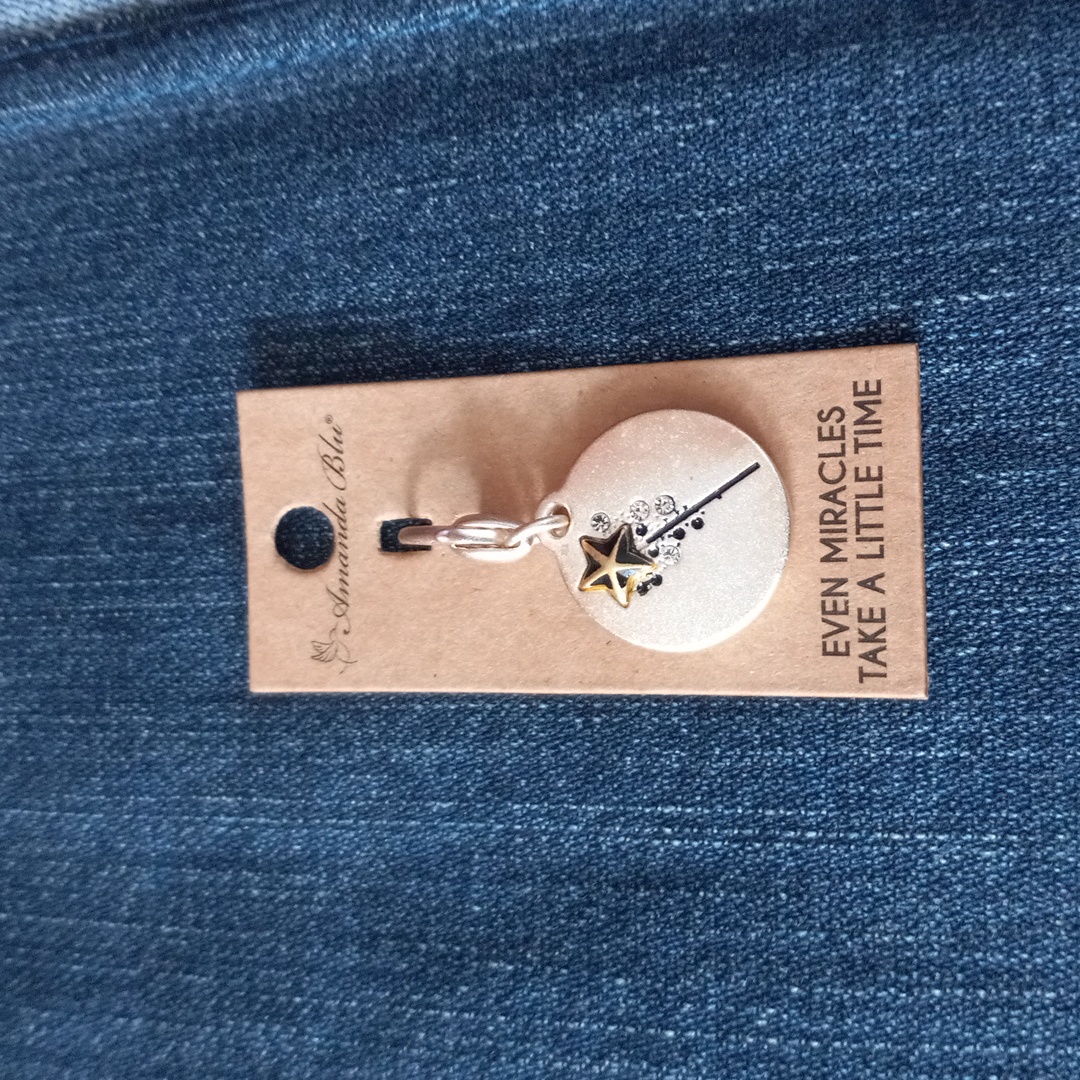 Nwt Amanda Blu Clip Charm Medallion 11$